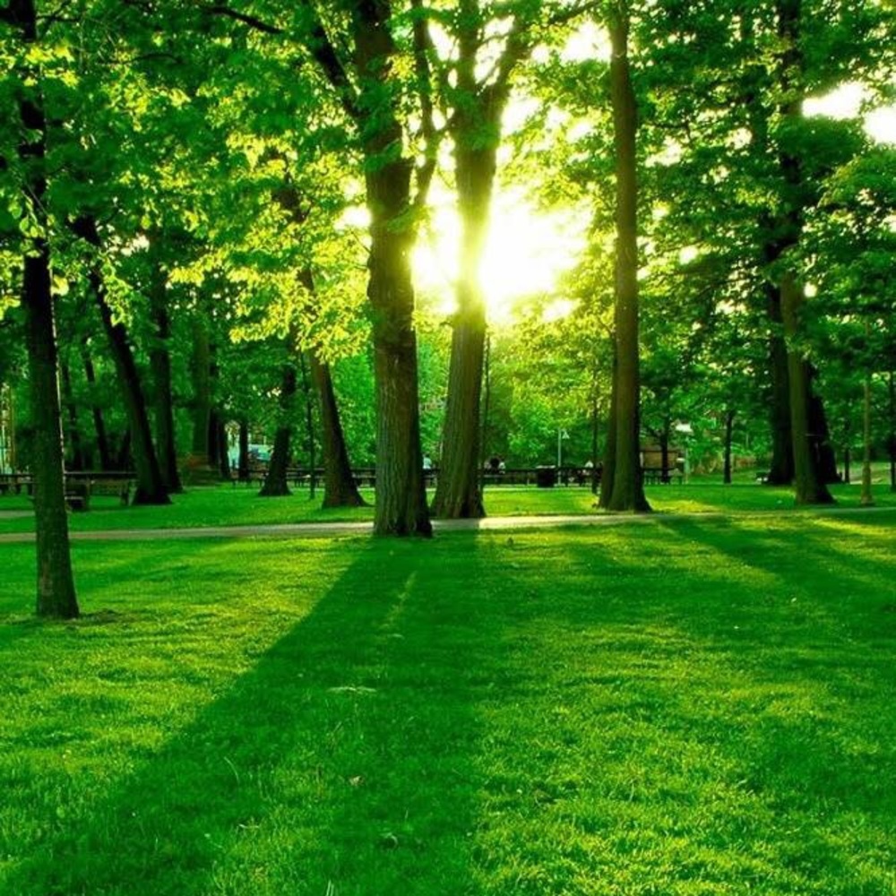 Meet your Posher, Rafat